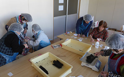就労継続支援B型事業所「すみれの丘」
